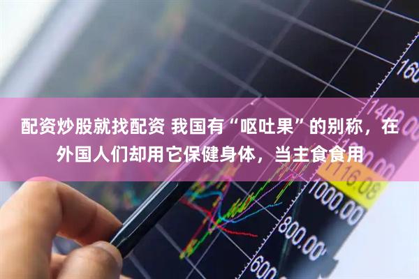 配资炒股就找配资 我国有“呕吐果”的别称，在外国人们却用它保健身体，当主食食用