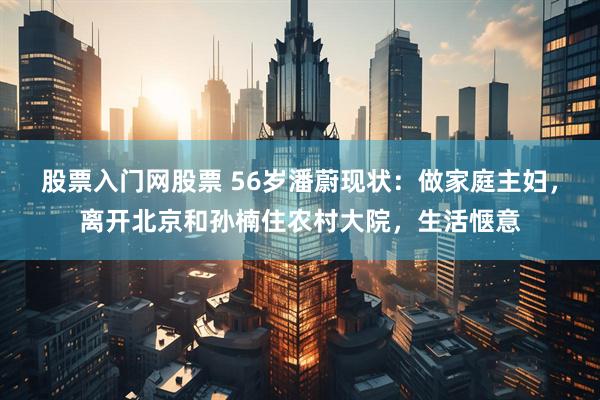 股票入门网股票 56岁潘蔚现状：做家庭主妇，离开北京和孙楠住农村大院，生活惬意