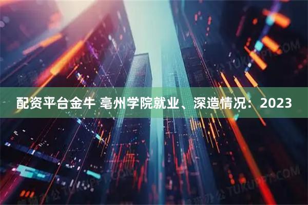 配资平台金牛 亳州学院就业、深造情况：2023