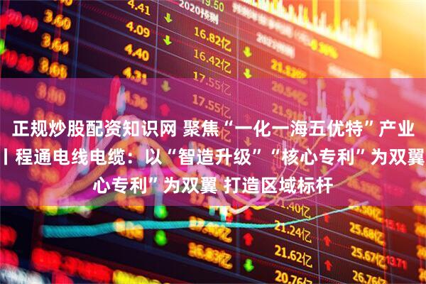 正规炒股配资知识网 聚焦“一化一海五优特”产业体系系列访谈丨程通电线电缆：以“智造升级”“核心专利”为双翼 打造区域标杆